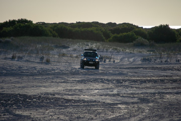 Landscape of Lancelin cars riding over the dunes