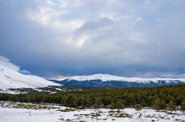 Snowy mountains and pine forest with cloudy sky at sunset