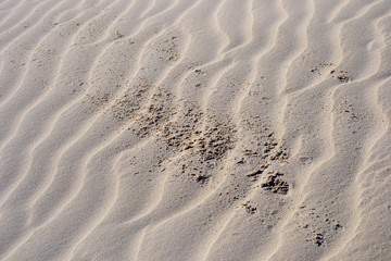 Dettail of sand waves on a desertice place