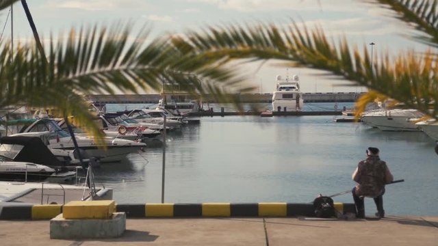 Palm trees. Sea port. Yacht. Fishing