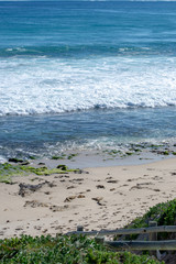 Vertical landscape of a beach in a sunny day