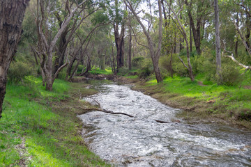 landscape of Perth Outback