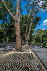 Botanical Garden Singapore