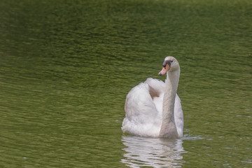 Botanical Garden Singapore