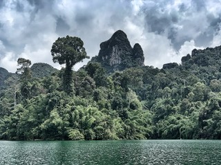 Las deszczowy, Khao Sok, Tajlandia © Aleksandra