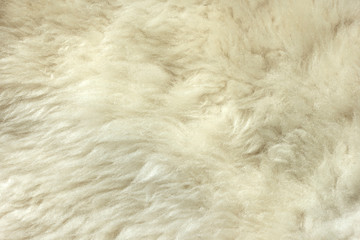 White shaggy natural sheep fur texture for background