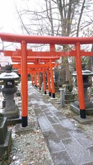 連なる鳥居・文化・宗教・アジア・日本