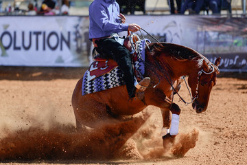 The side view of a rider in jeans, cowboy chaps and checkered shirt on a reining horse slides to a...