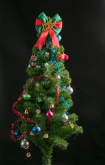 Obraz premium Decorated Christmas tree isolated on black background studio shot for family, giving, season, Christmas, holiday, new year, travel, Christian and gathering concept