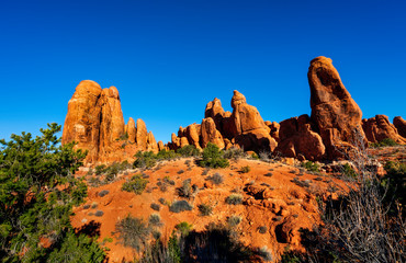 Naklejka premium Arches National Park