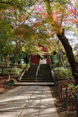 紅葉　門