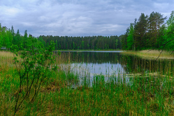 Landscape of lakes and forest along the Punkaharju ridge