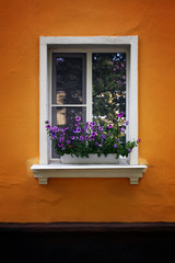 window with a white frame and the florist against the background of a yellow wall