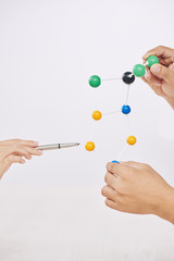 Crop hands of scientists holding colorful molecular model and having presentation on white background