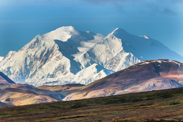 アラスカ デナリ国立公園(マッキンレー) Denali National Park