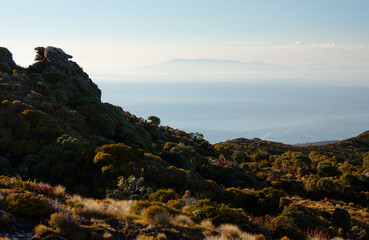 Vegetation at the top of the Humpridge Walk and a view at the Stewart Island / Rakiura in the distance in Fiordland / Southland in the South Island in New Zealand