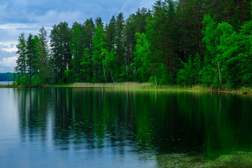 Fototapeta na wymiar Landscape of lakes and forest along the Punkaharju ridge