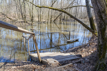 The awakening of nature in spring