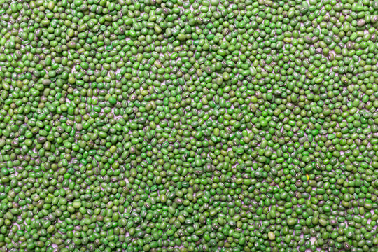 Green lentils on the table. This legume contains a lot of vegetable protein