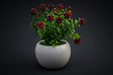 red flowers in a vase