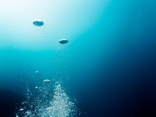 Water background with bubbles rising to surface