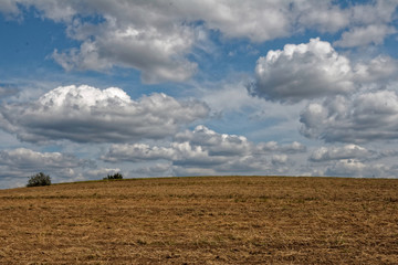 Pola pod Tarnowskimi Górami, Śląskie © Miroslaw