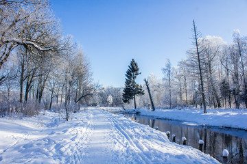 Winter landscape in clear weather. Morning bright sun. Snow plays shine. Frosty Snow Park