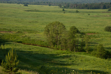 Obraz premium Middle Ural, Russia, - wildlife landscape in sunny day