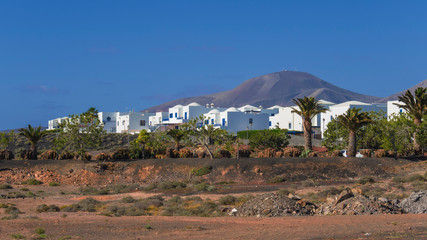 Fototapeta premium Canary islands lanzarote sunny nature scene