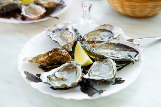 Raw oysters served in a french restaurant with lemon slices, wine, baguette and butter