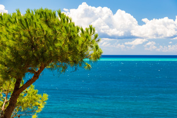 Beautiful sea in a summer day in Italy