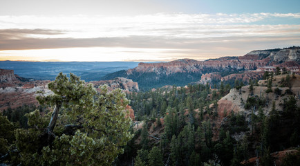 Naklejka premium Bryce Canyon 