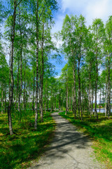Fototapeta na wymiar Footpath and trees in the Kirkkosaari island