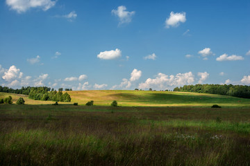 Fototapeta premium white clouds float on the blue sky over the green agricultural field where harvest hay