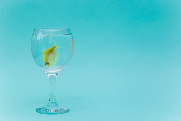 Yellow fish in a glass on a blue background