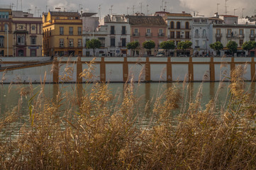 view over a river