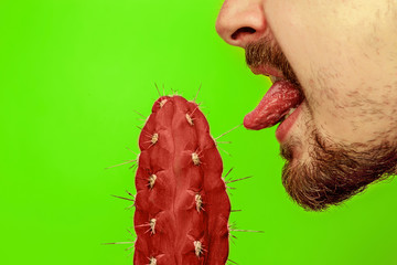 Man touching sharp cactus by tongue. Cactus Fashion Set Design. Minimal Stillife. Trendy Bright...