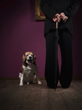 Man and dog at the museum