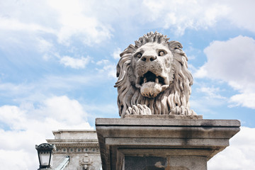 Lion on the Chain Bridge in Budapest, Hungary