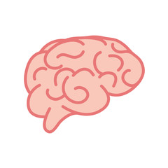 Vector brain. Flat illustration. Vector brain symbol.