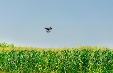Unmanned aircraft Dorn Corn farm, agricultural automation, digital farming