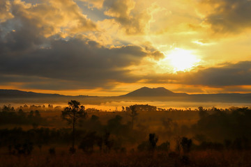 Beautiful forest landscape of foggy sunrise and clouds in Thung salaeng Luang National Park (Nong Mae na), Thailand