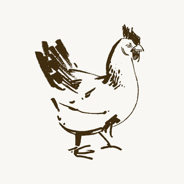 recommend clip art: Vector chicken breeding hand drawn set. Engraved Chicken, Roster llustrations. Rural natural bird farming. Poultry business.