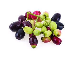 Jambolan plum or Java plum isolated on white background