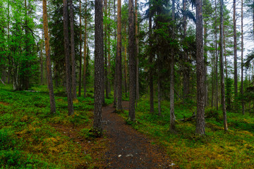 Oulanka National Park, Finland