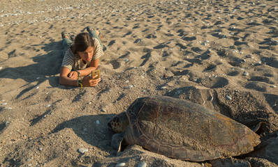 Tourist near eggs laying turtle_