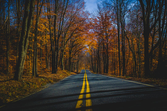 Autumn Drive