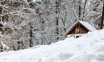 House in the winter forest