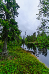 Fototapeta na wymiar Kantalampi lake near Luosto, in Pyha-Luosto National Park