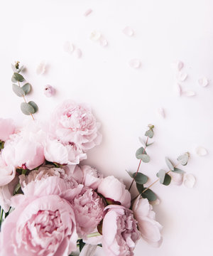 Beautiful, tender fresh blossoming aromatic pink Peony flowers and eucalyptus branches on the white background, top view, flat lay